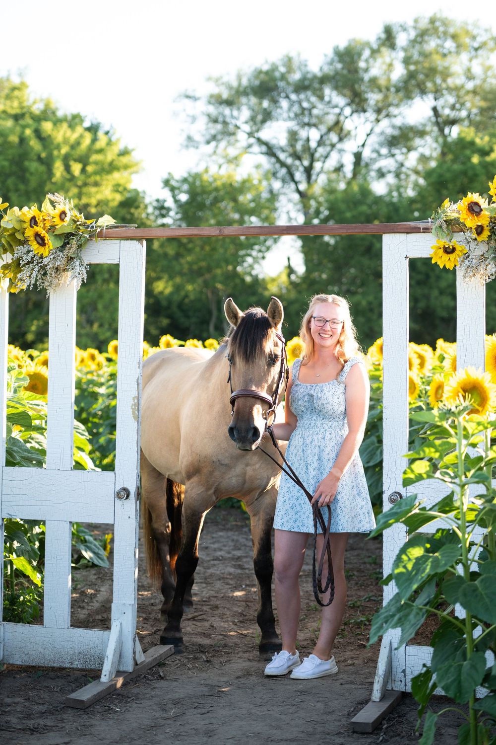 A peaceful scene of a horse and sunflowers along a white fence on a sunny summer day.