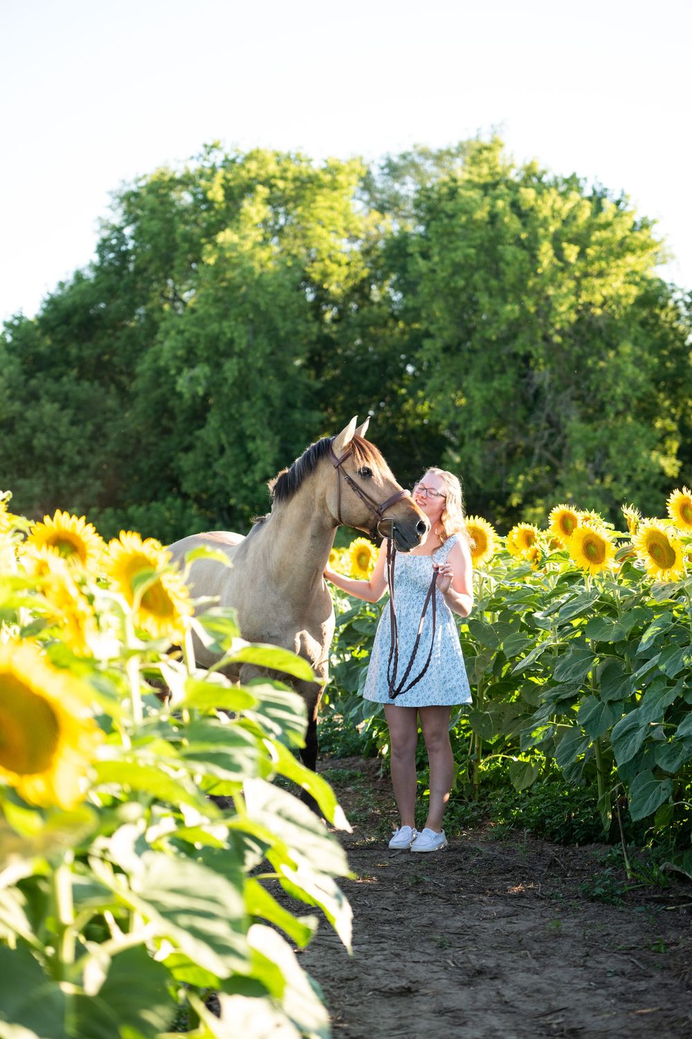 People explore a vibrant sunflower field on a sunny summer day surrounded by tall blooming yellow flowers.