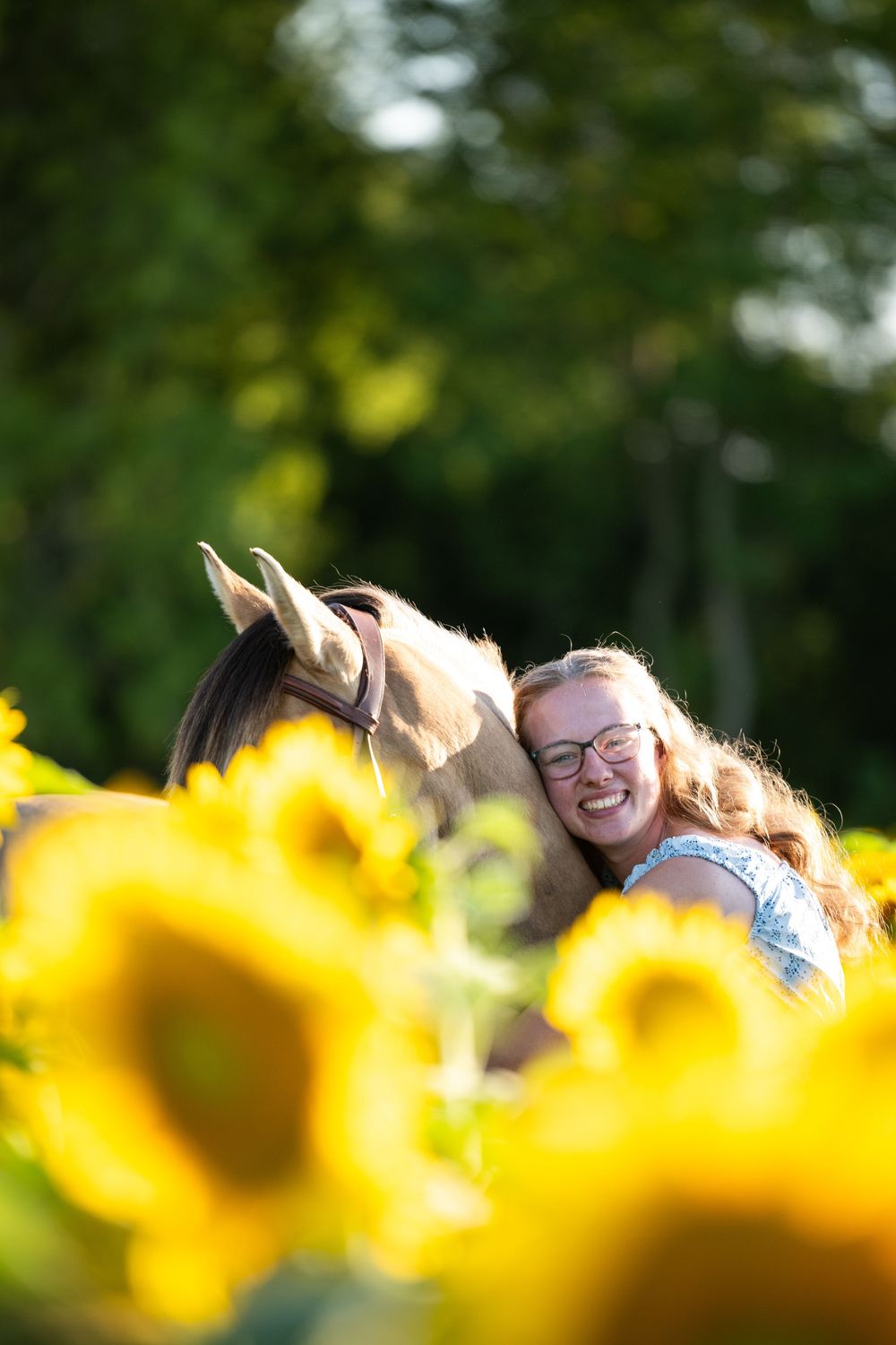 Joyful couple appear in view above bright yellow sunflowers in a summer field.