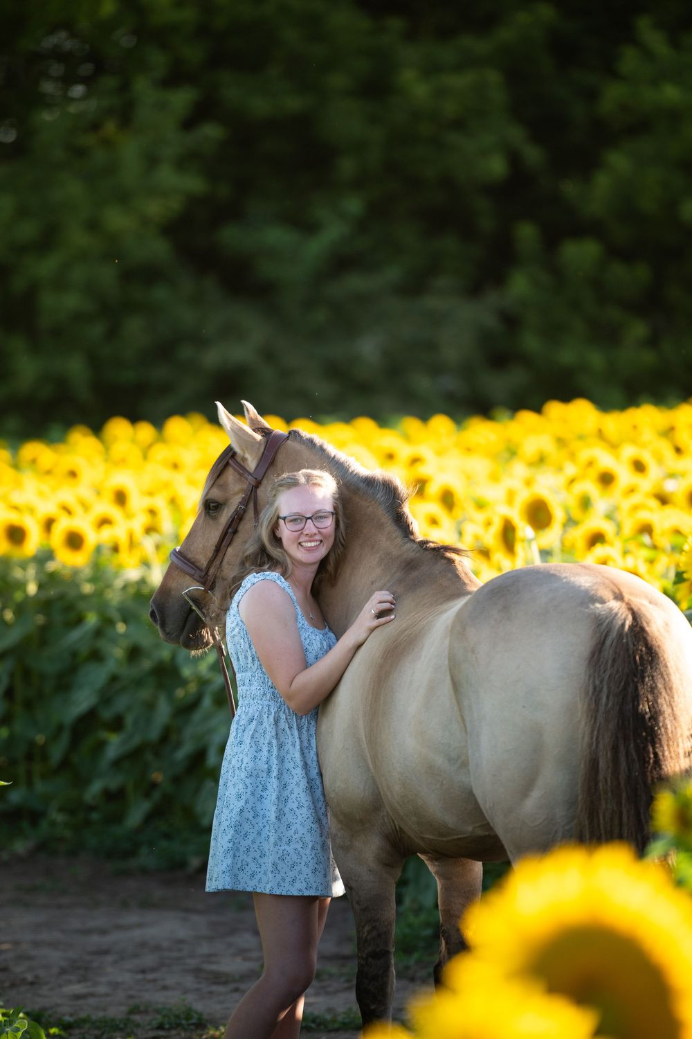 Young woman in blue dress poses in sunflower field with light tan horse against vibrant yellow backdrop.
