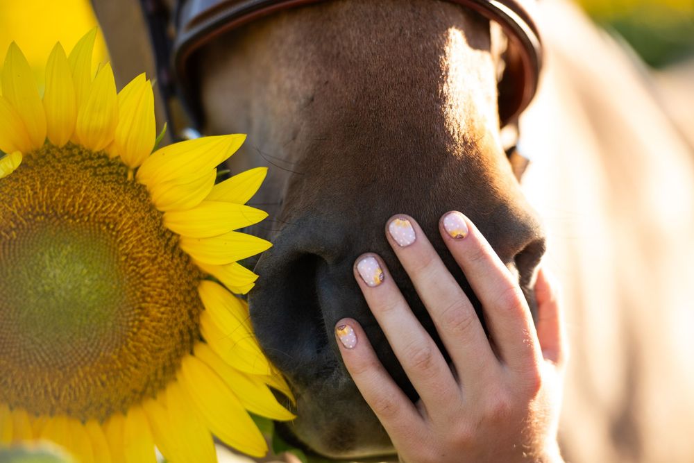 A collection of bright yellow sunflower petals in progressive close-up shots with a hand visible in some frames.
