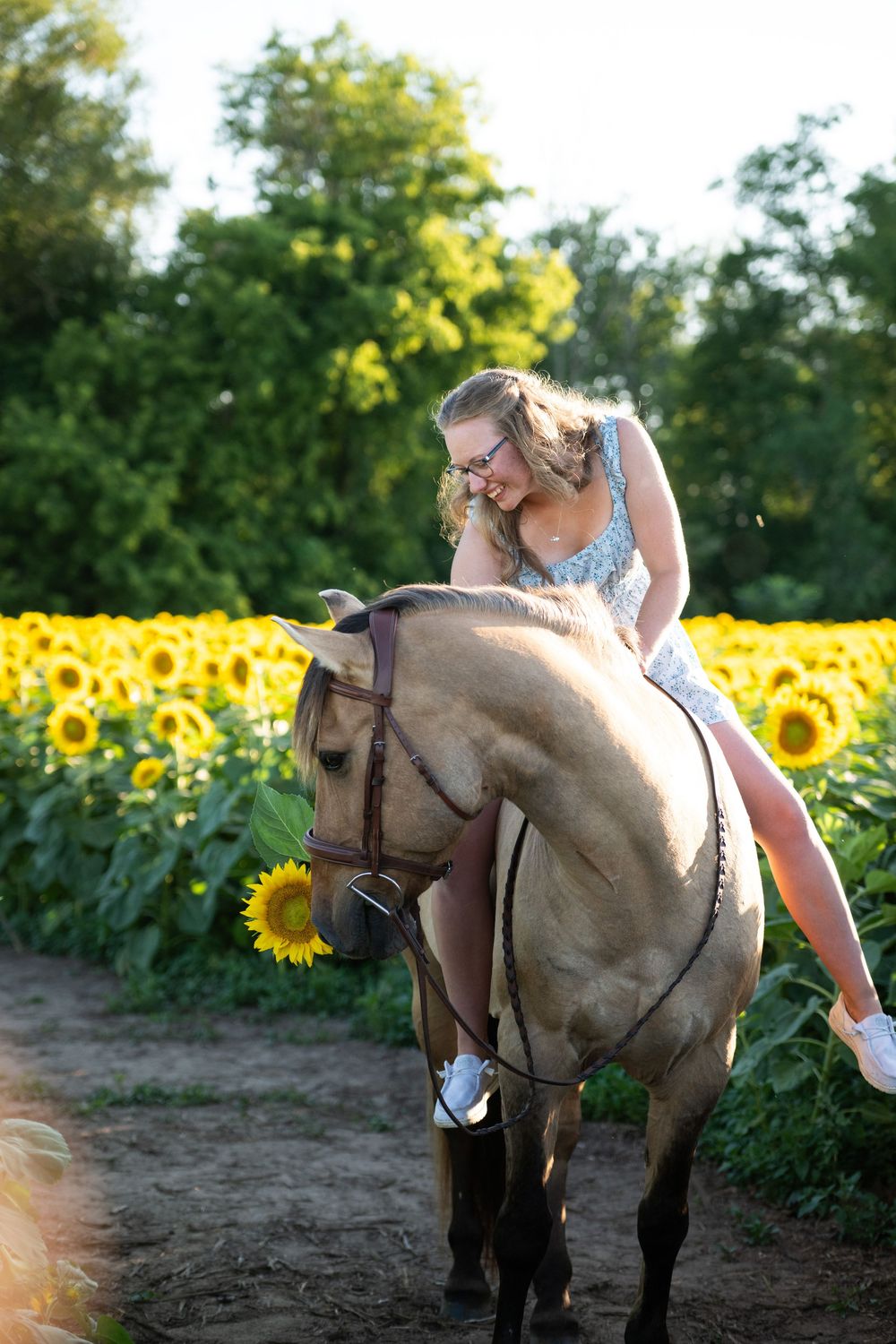 A rider on horseback travels through a vibrant field of blooming yellow sunflowers on a sunny summer day.