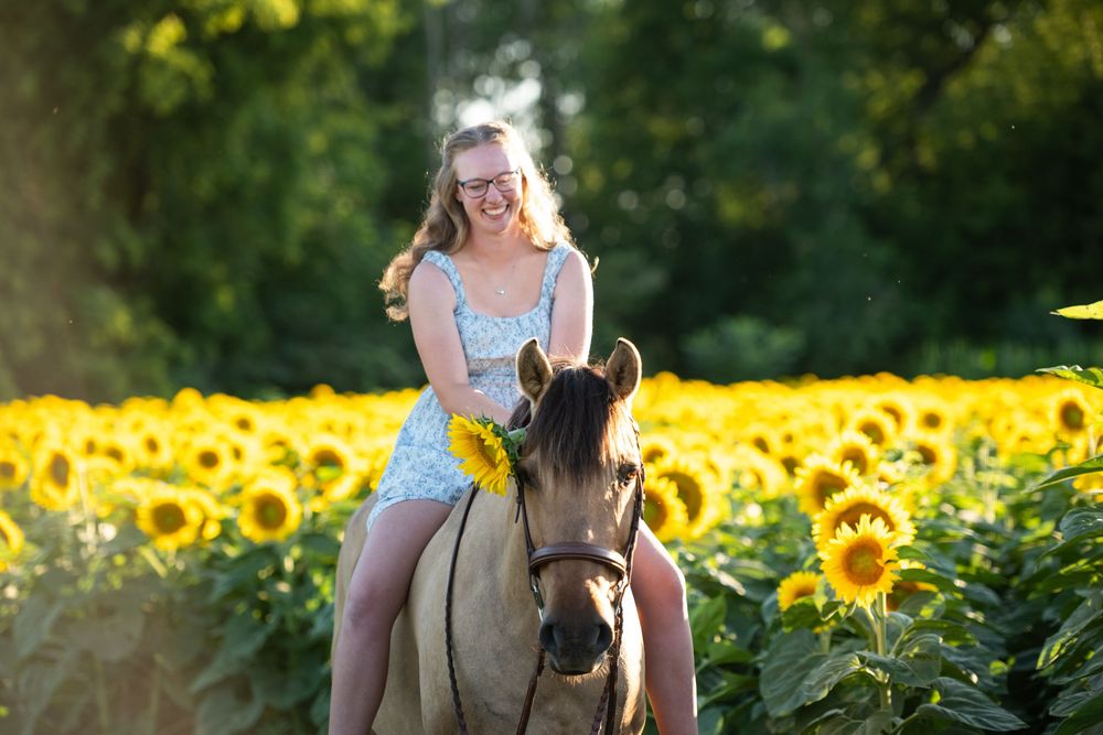 Candid moments captured in a vibrant field of bright yellow sunflowers during a sunny summer day.