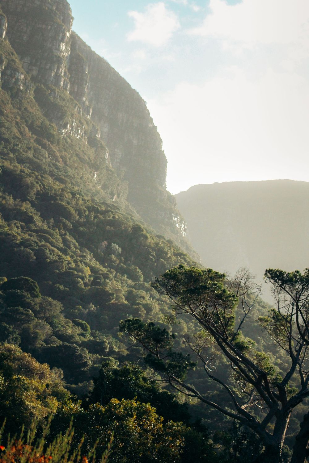 South Africa Kirstenbosch Table Mountain photography