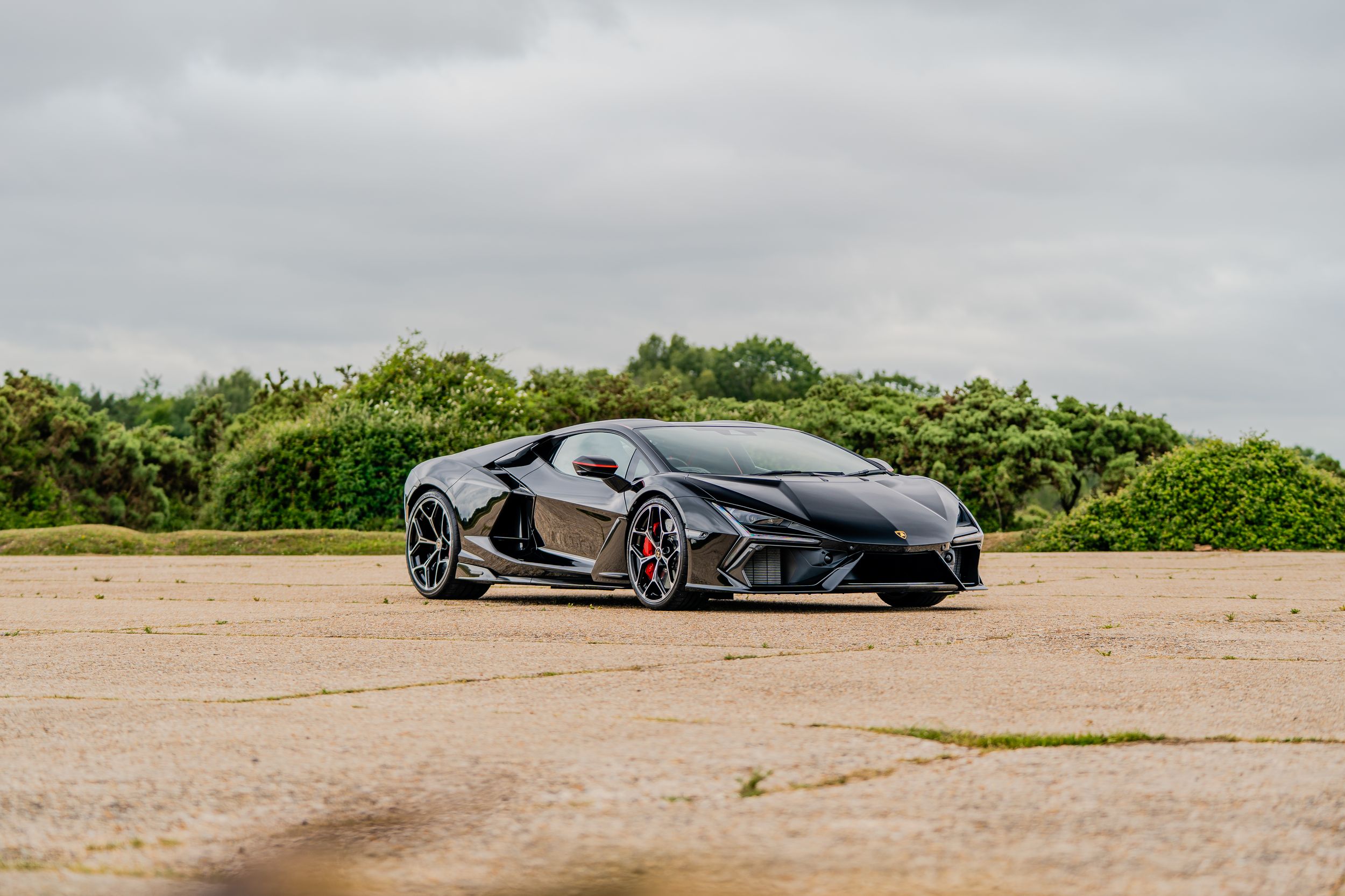 Sleek black Lamborghini supercar parked on sandy terrain with lush green bushes and overcast sky in background.
