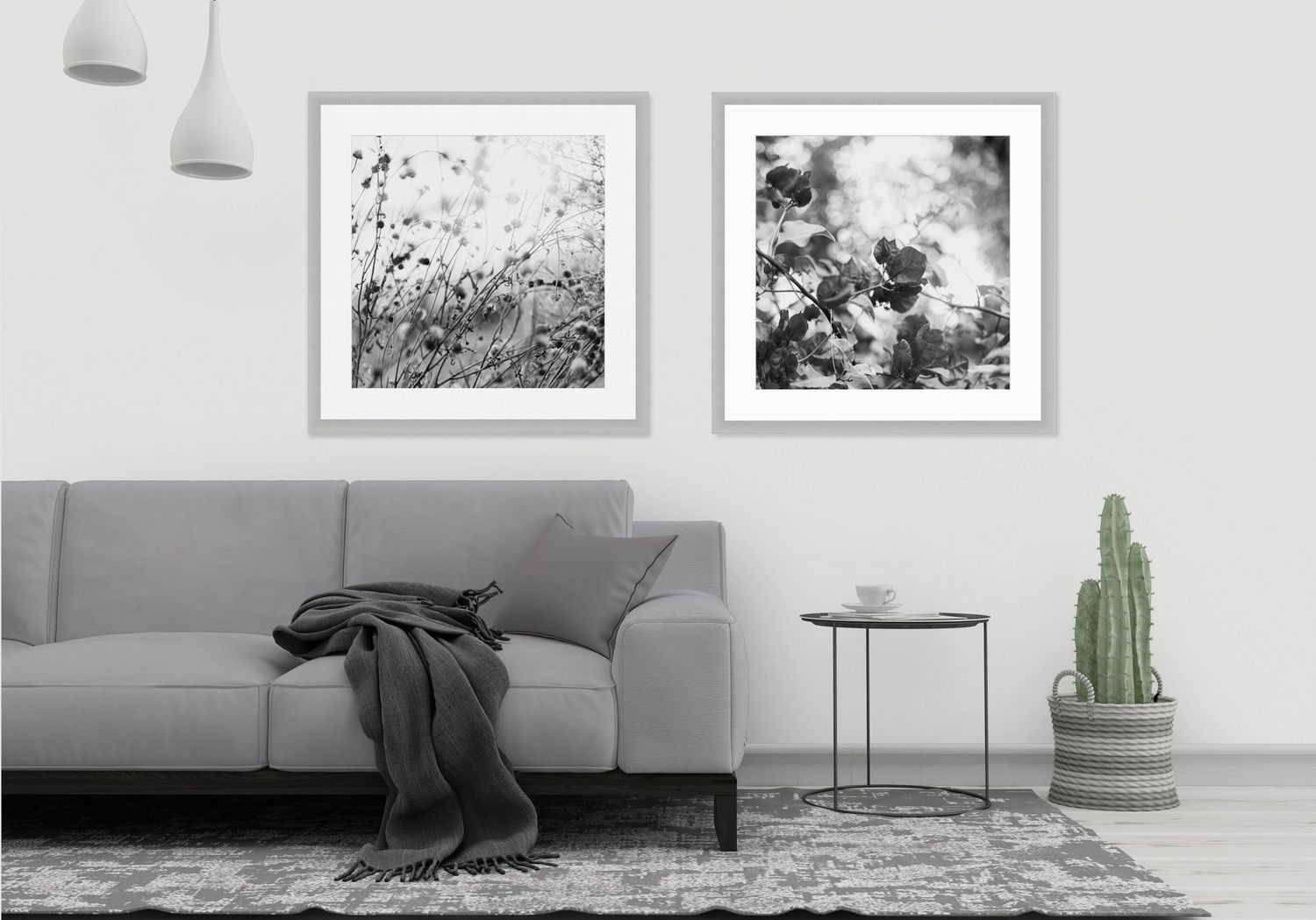 Black and white nature photography prints in white frames hang above a gray sofa in a minimalist living room.