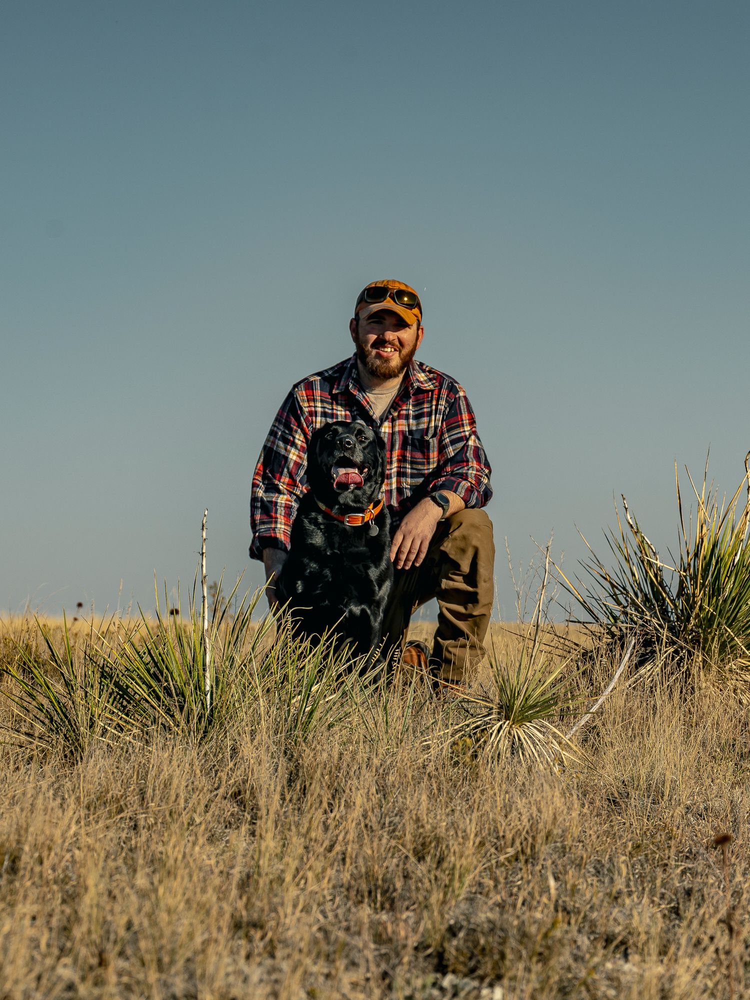 Man in plaid shirt and cap kneeling with black Labrador dog in grassy field at golden hour.