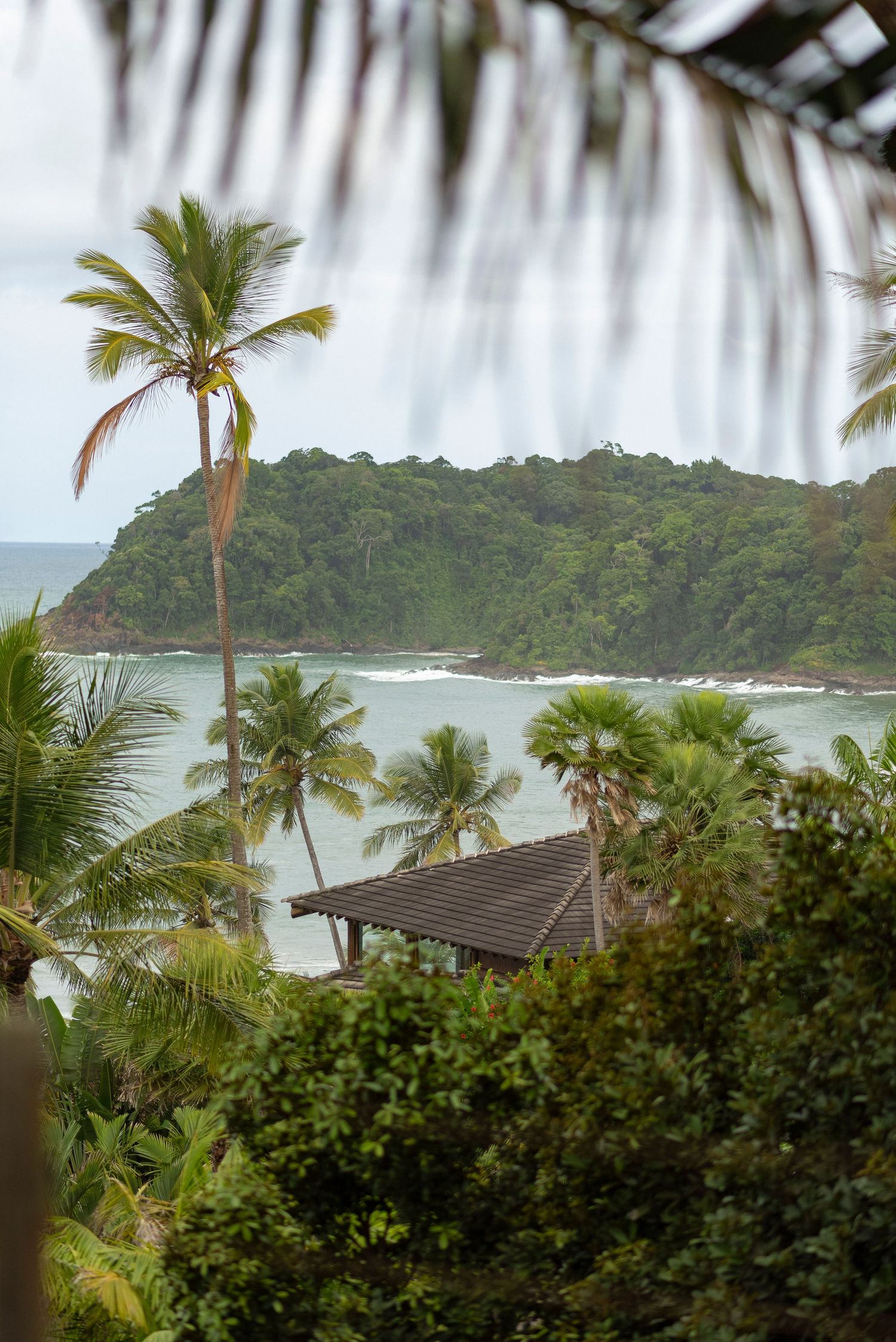 Tropical coastal view with palm trees, lush green jungle hillside, and a thatched roof gazebo overlooking a calm ocean bay.