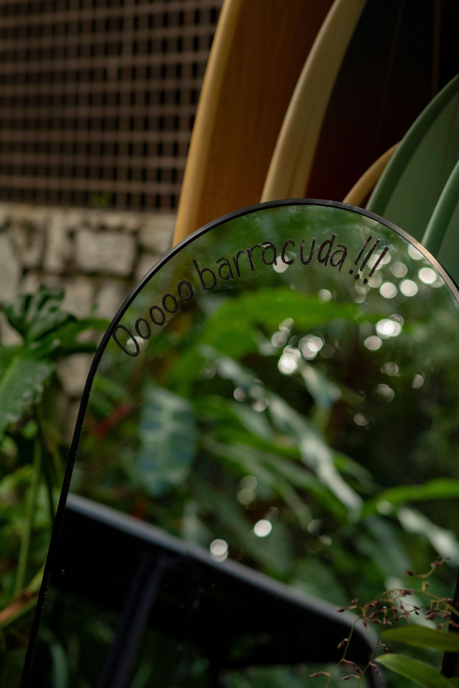 A circular mirror with 'Ooooo barracuda!!!' text, surrounded by lush green tropical plants and colorful surfboards.