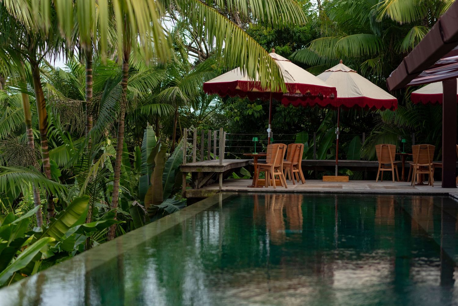 Tropical resort pool surrounded by lush palm trees with red umbrellas and wooden chairs on a serene poolside deck.