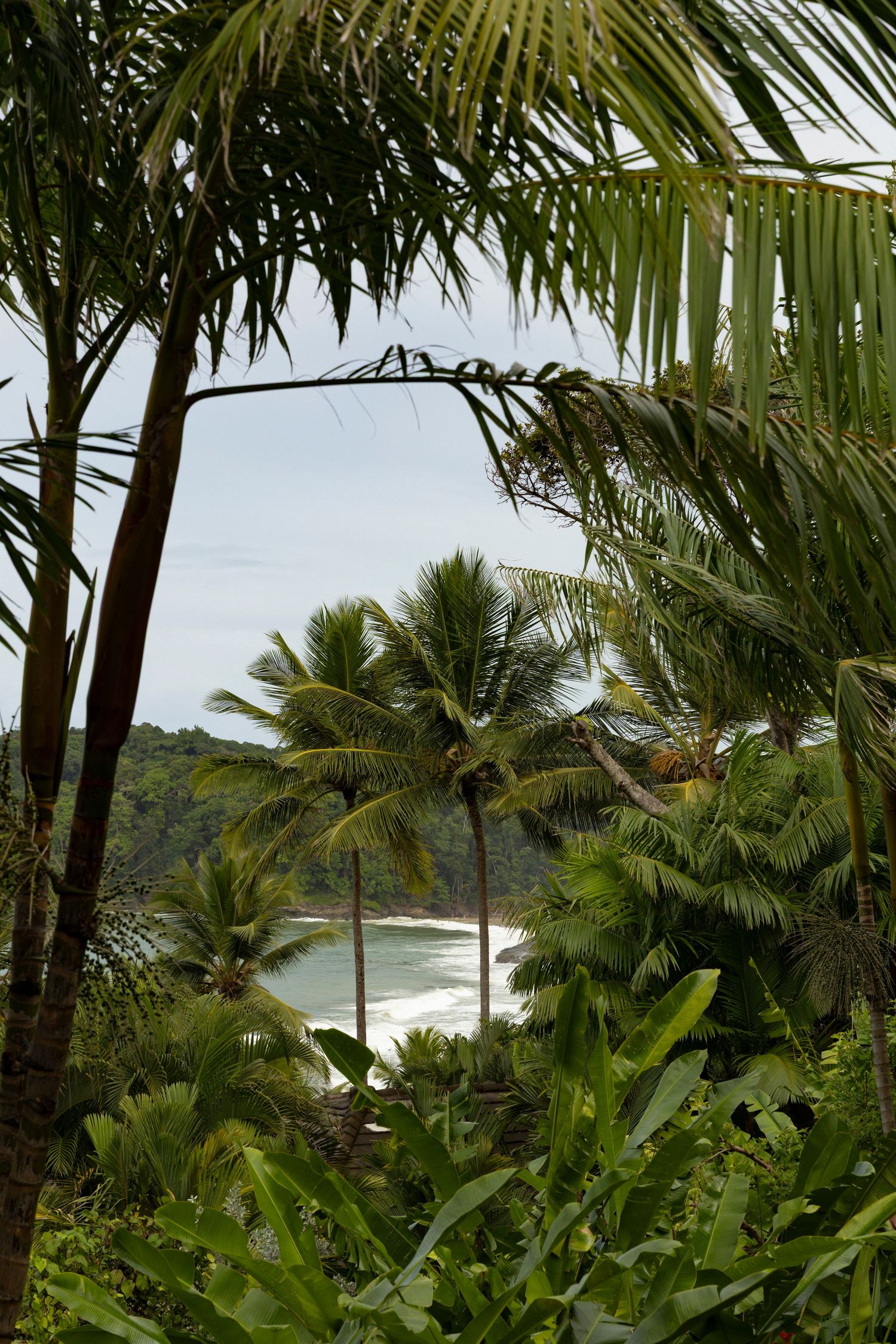 Tropical beach view through lush palm trees and dense green foliage on a cloudy day.