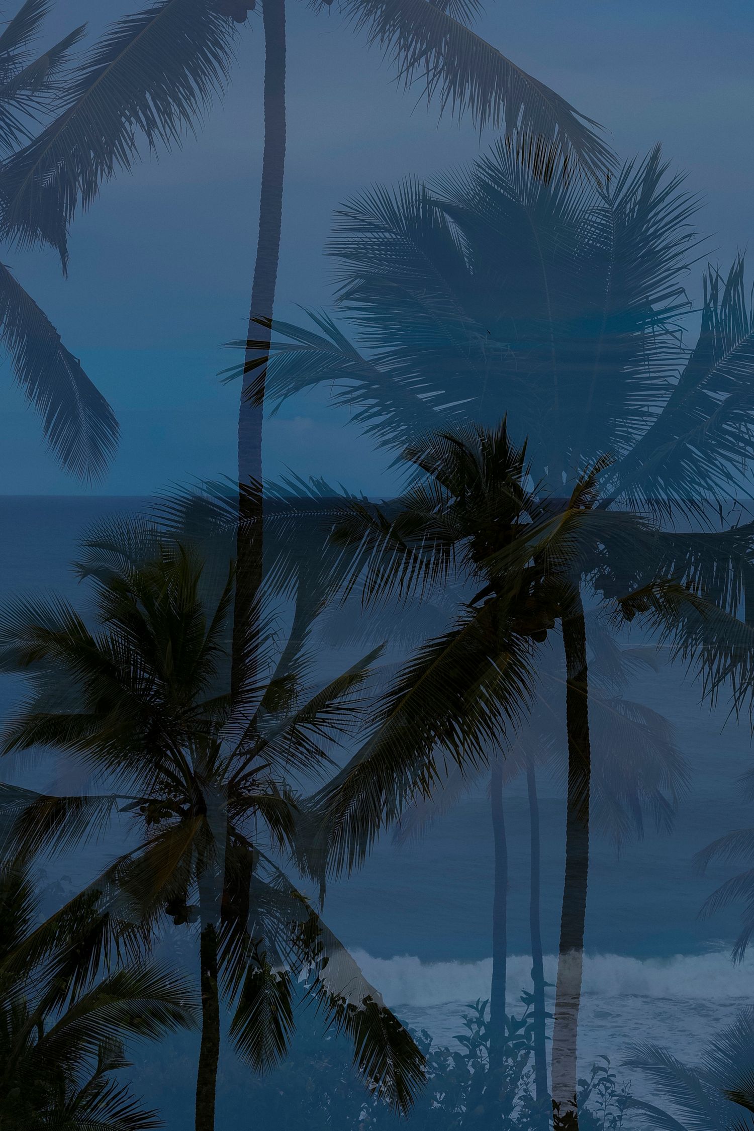 Double exposure of tropical palm trees swaying over ocean waves at dusk, creating a dreamy blue-toned beach scene.