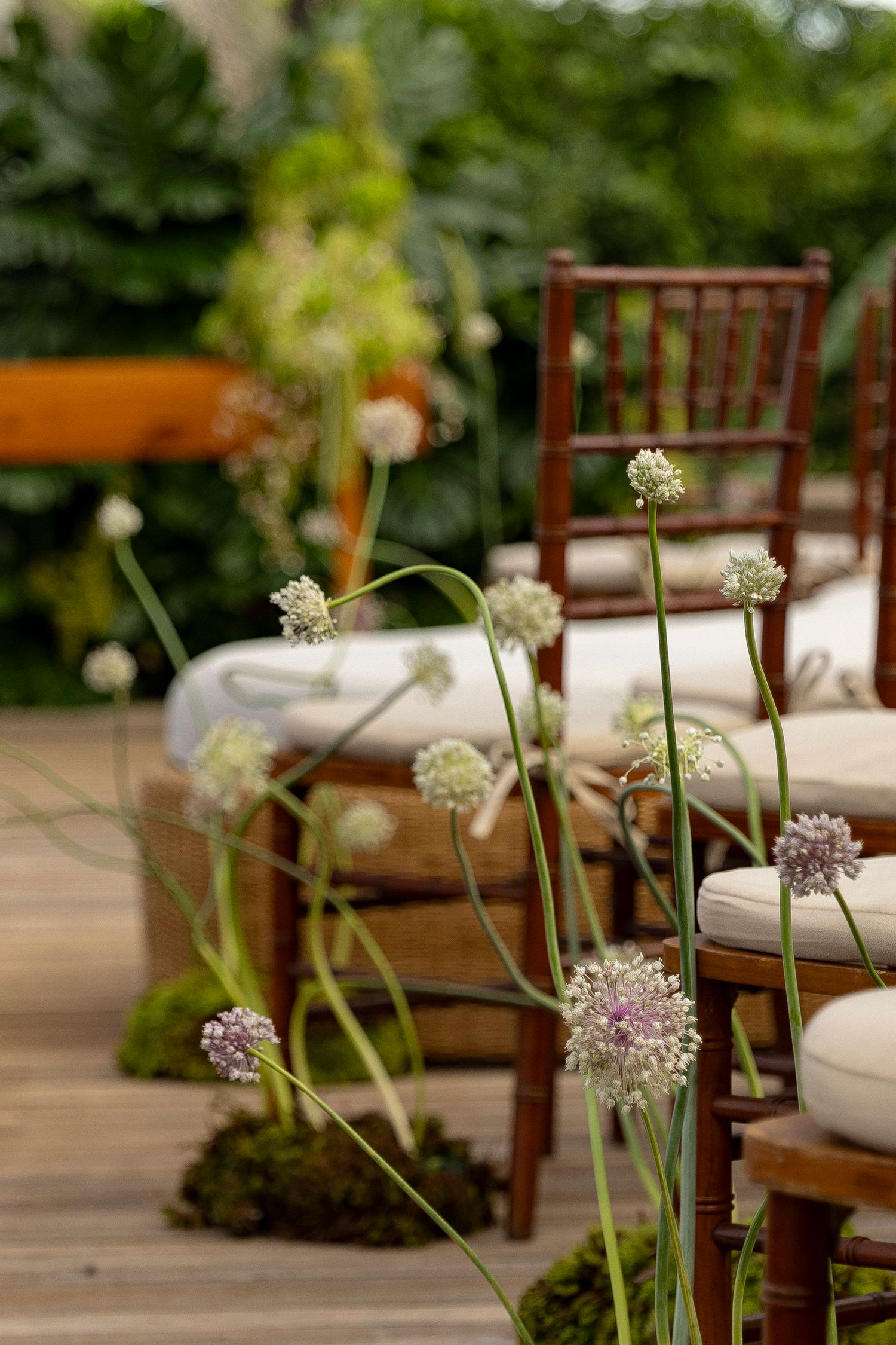 Tall allium flowers line a wooden aisle with dark wood Chiavari chairs and lush green garden backdrop.