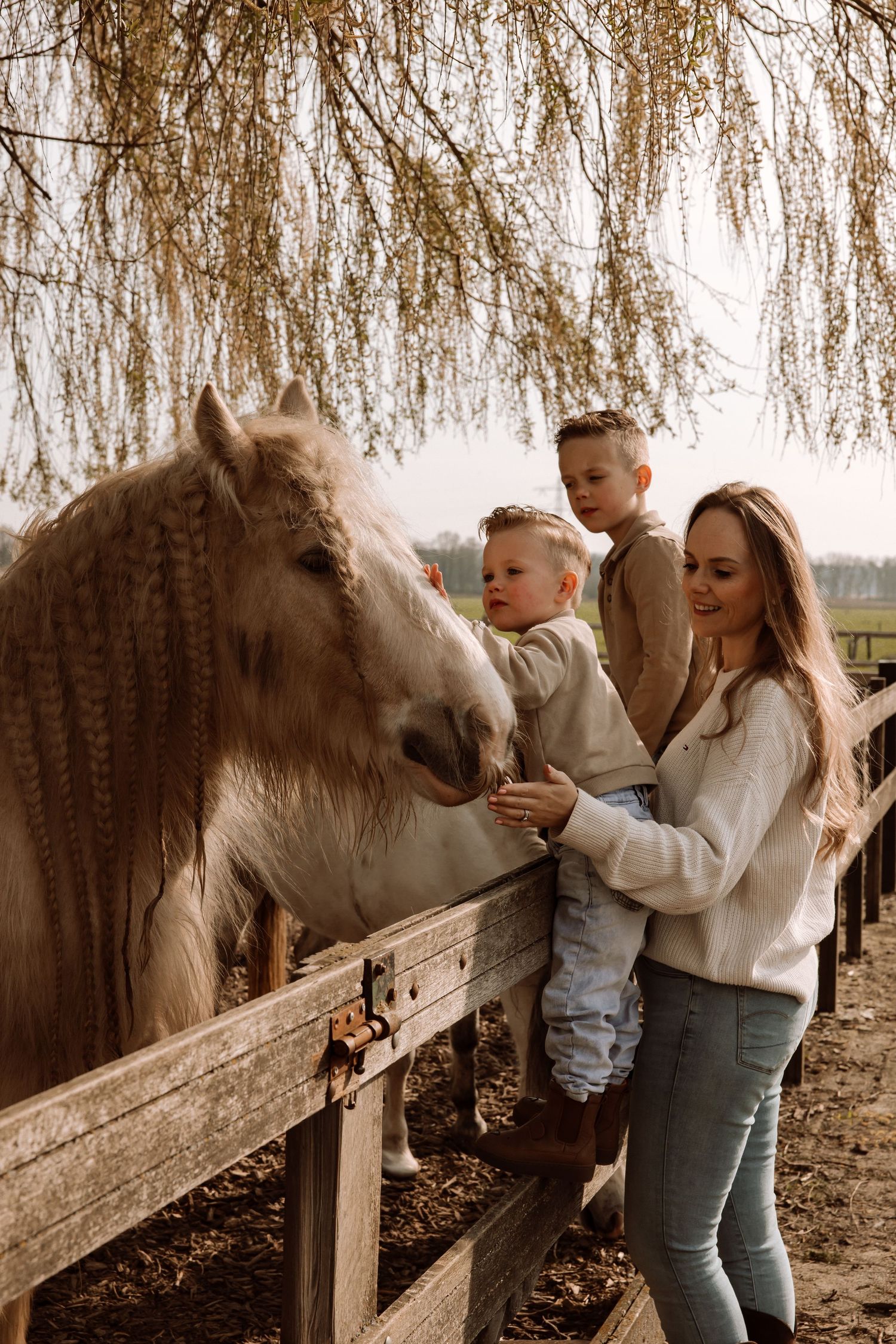 A woman and two children feed a white horse at a wooden fence under a willow tree on a farm.