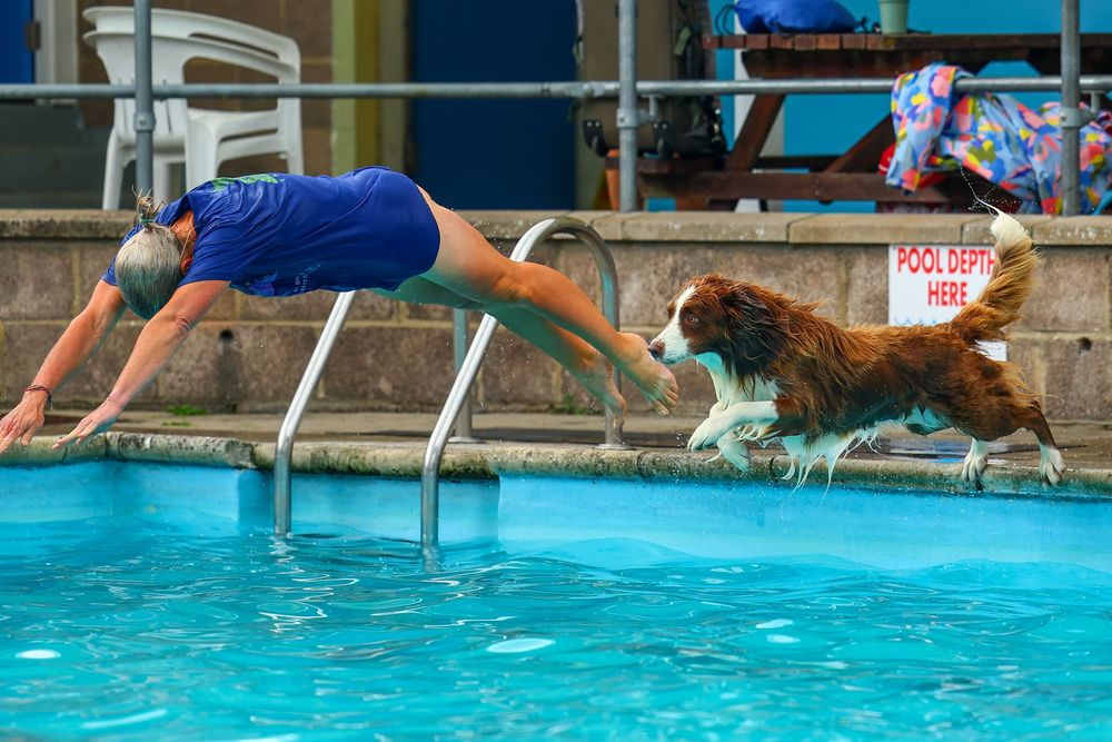dog photography