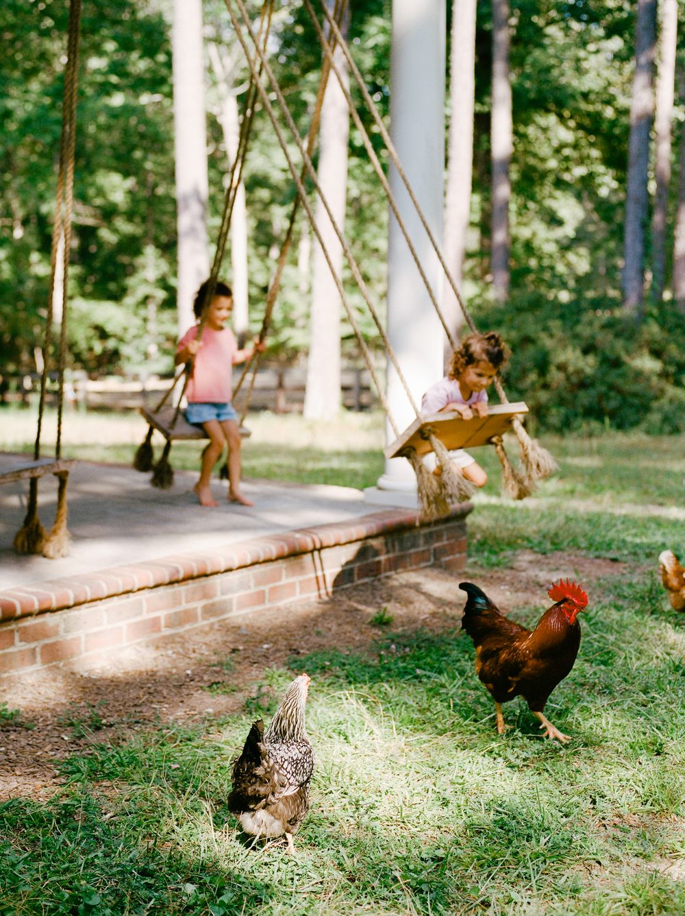 Two children playing on wooden swings outdoors while chickens roam the grassy yard near a brick patio.