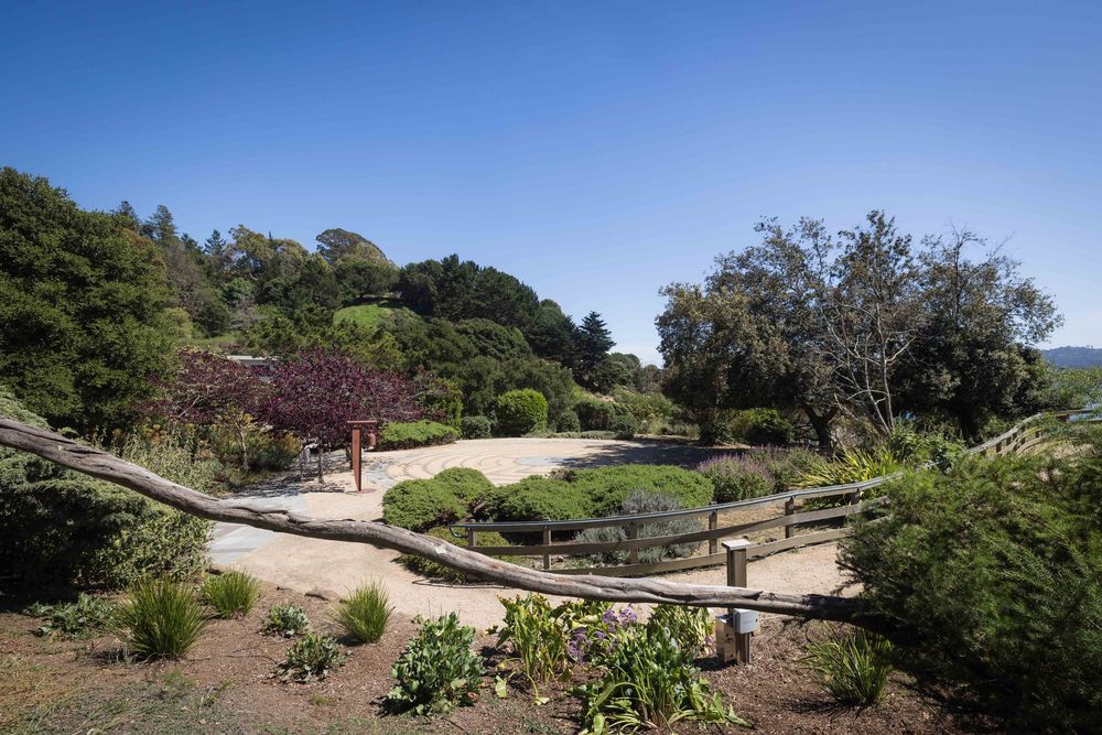 Scenic nature garden path with rustic wood fencing surrounded by lush trees and native plants.