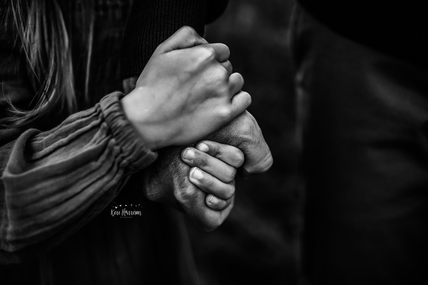 Metro Detroit Family Photographer