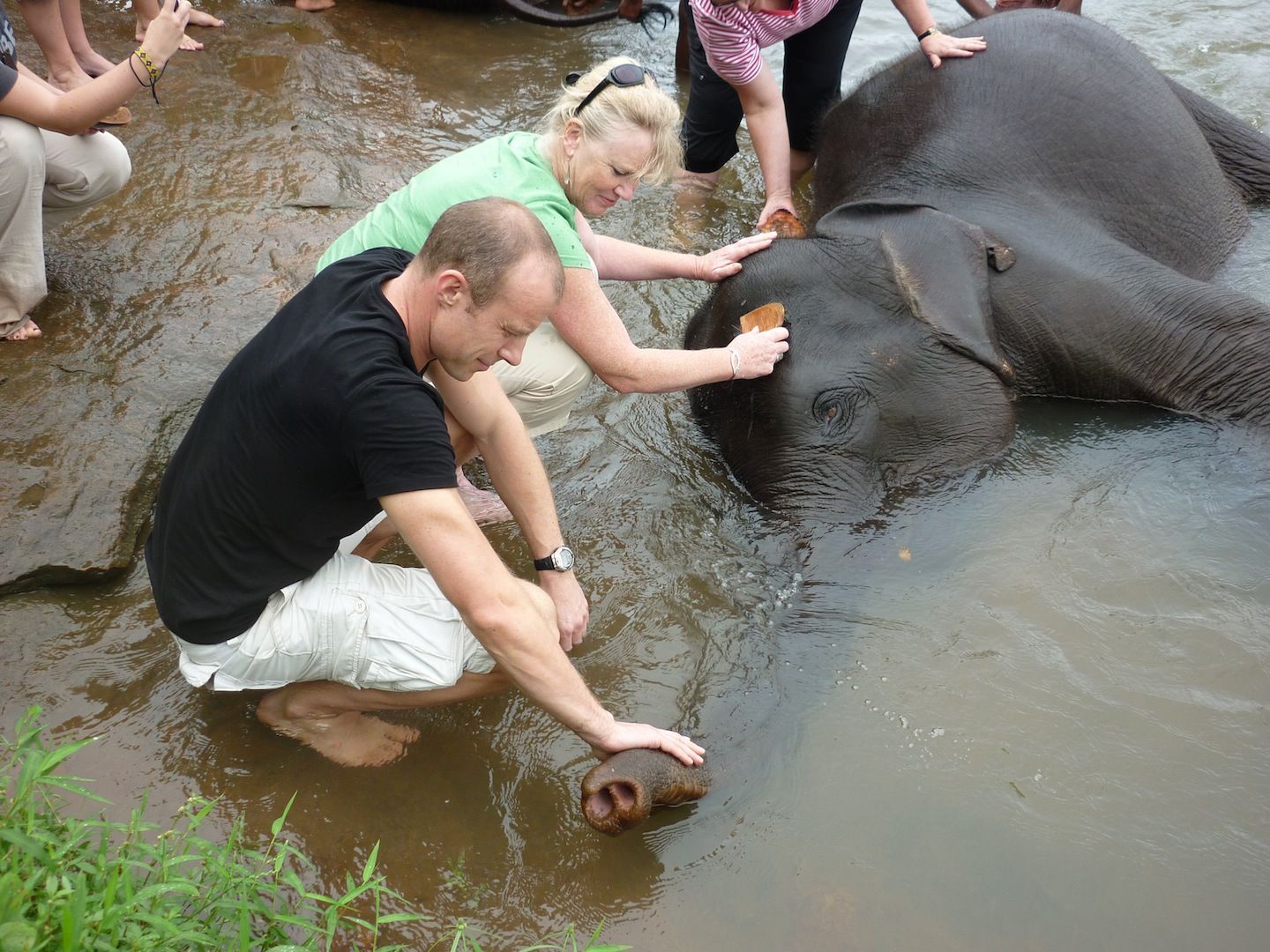 Tourists interact with an elephant in shallow water during an elephant bathing experience.