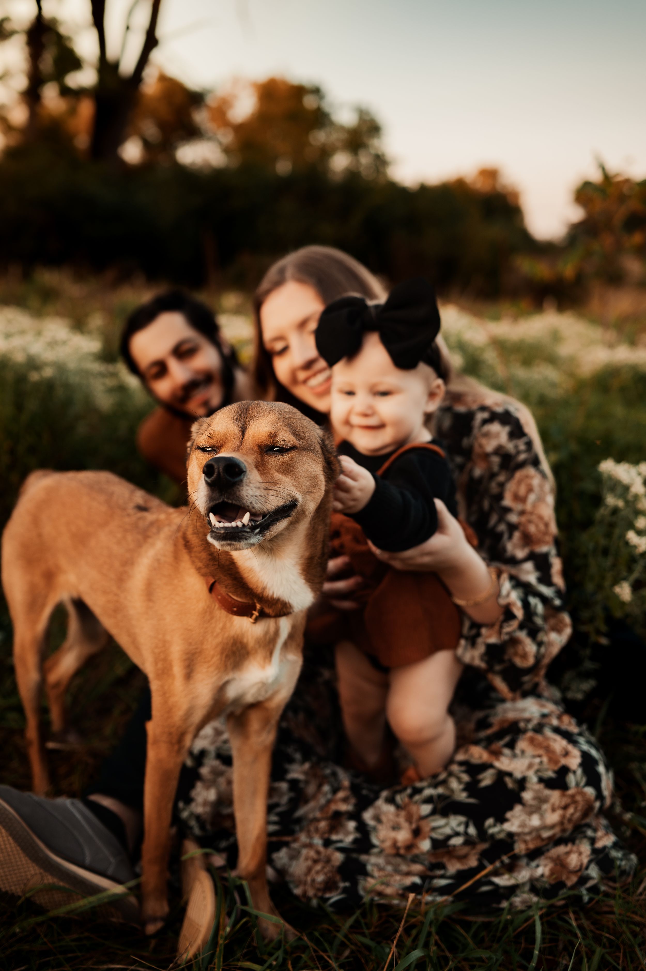 Happy family with brown dog posing together in wildflower field at sunset.