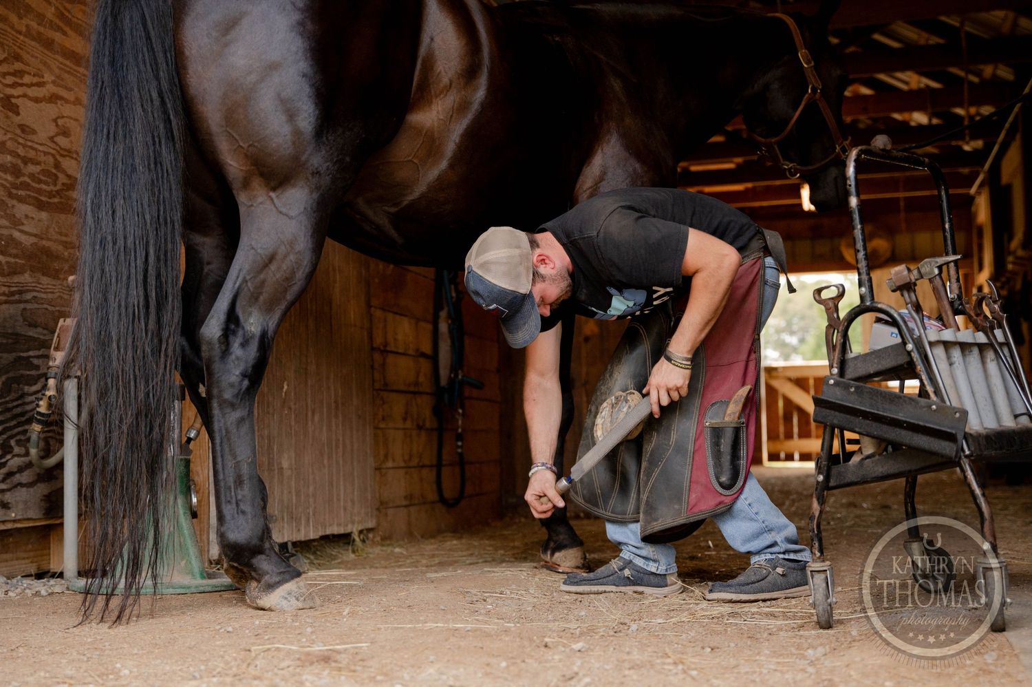 Professional farrier trimming a horse's hoof in a wooden barn setting.