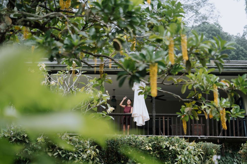 A ghostly white dress hangs from a rustic balcony railing surrounded by lush green foliage.