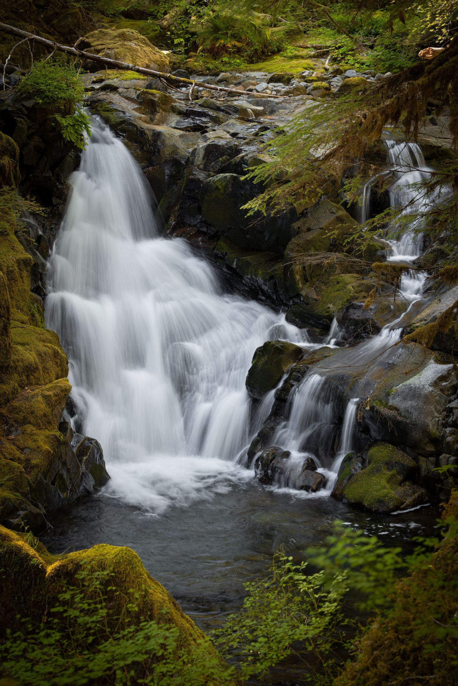Lover's Lane Falls in Olympic National Park