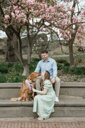 A couple sits on stone steps with their golden retriever under blooming pink magnolia trees in springtime.