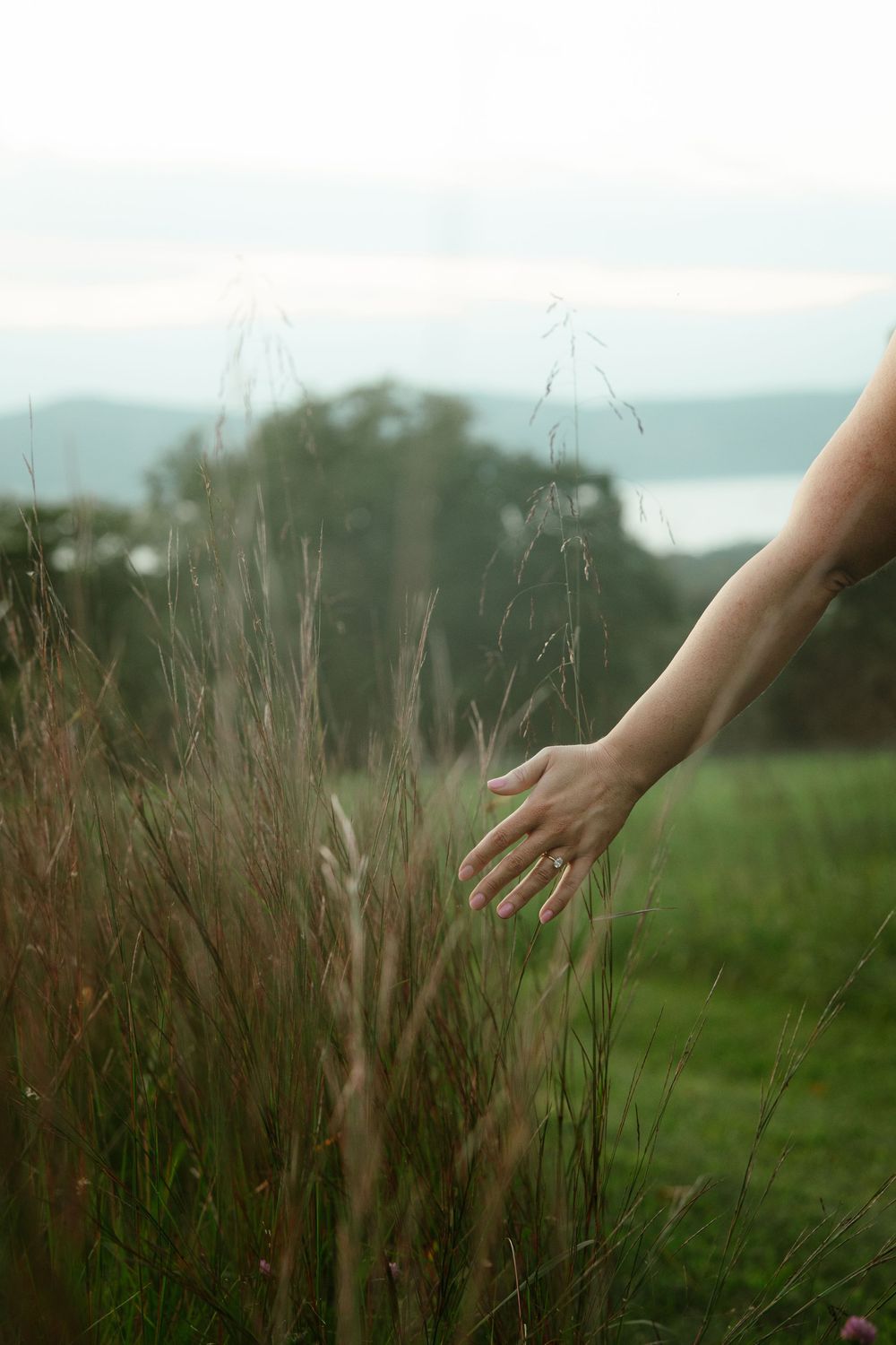 A hand gently touching tall wild grass in a serene green meadow with misty mountains in the background.