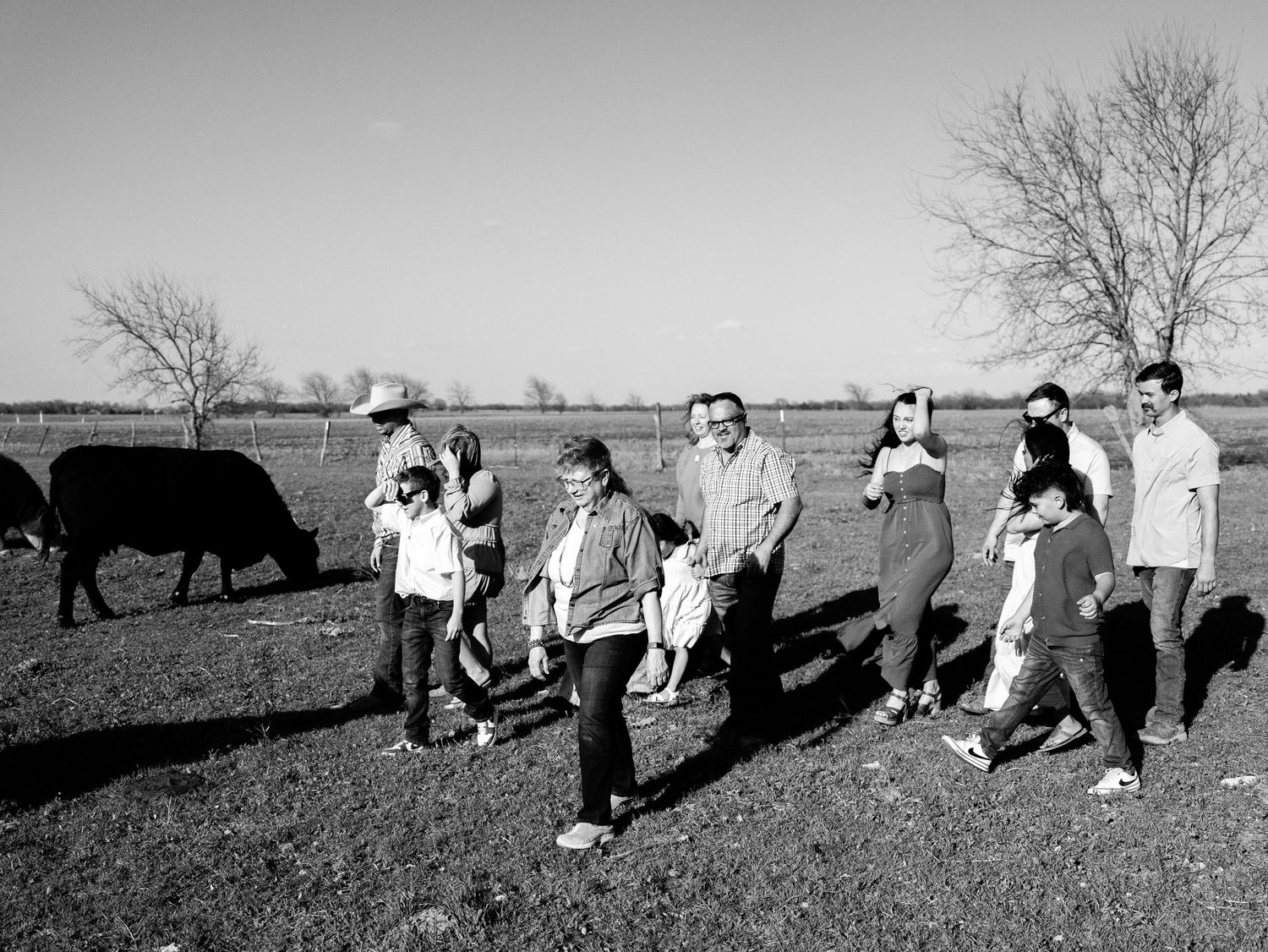 A group of people walk through a rural field with cattle visible in the black and white outdoor scene.