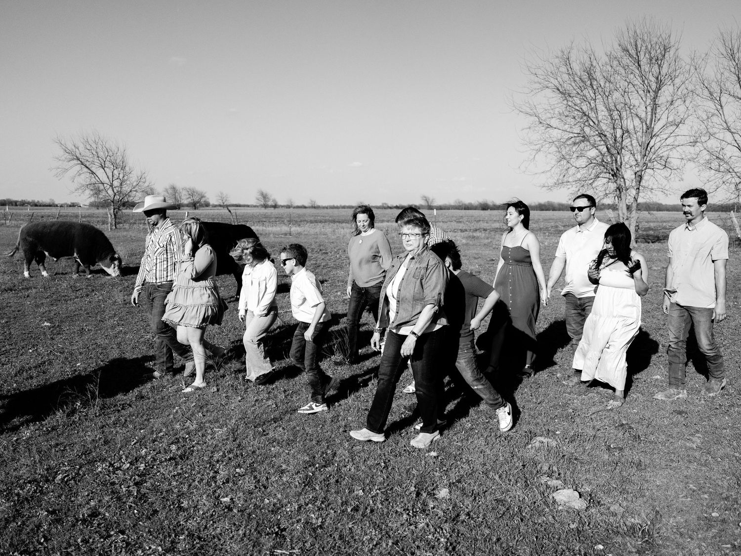 A vintage black and white photograph shows a group walking in a line through a rural field with grazing cows visible.