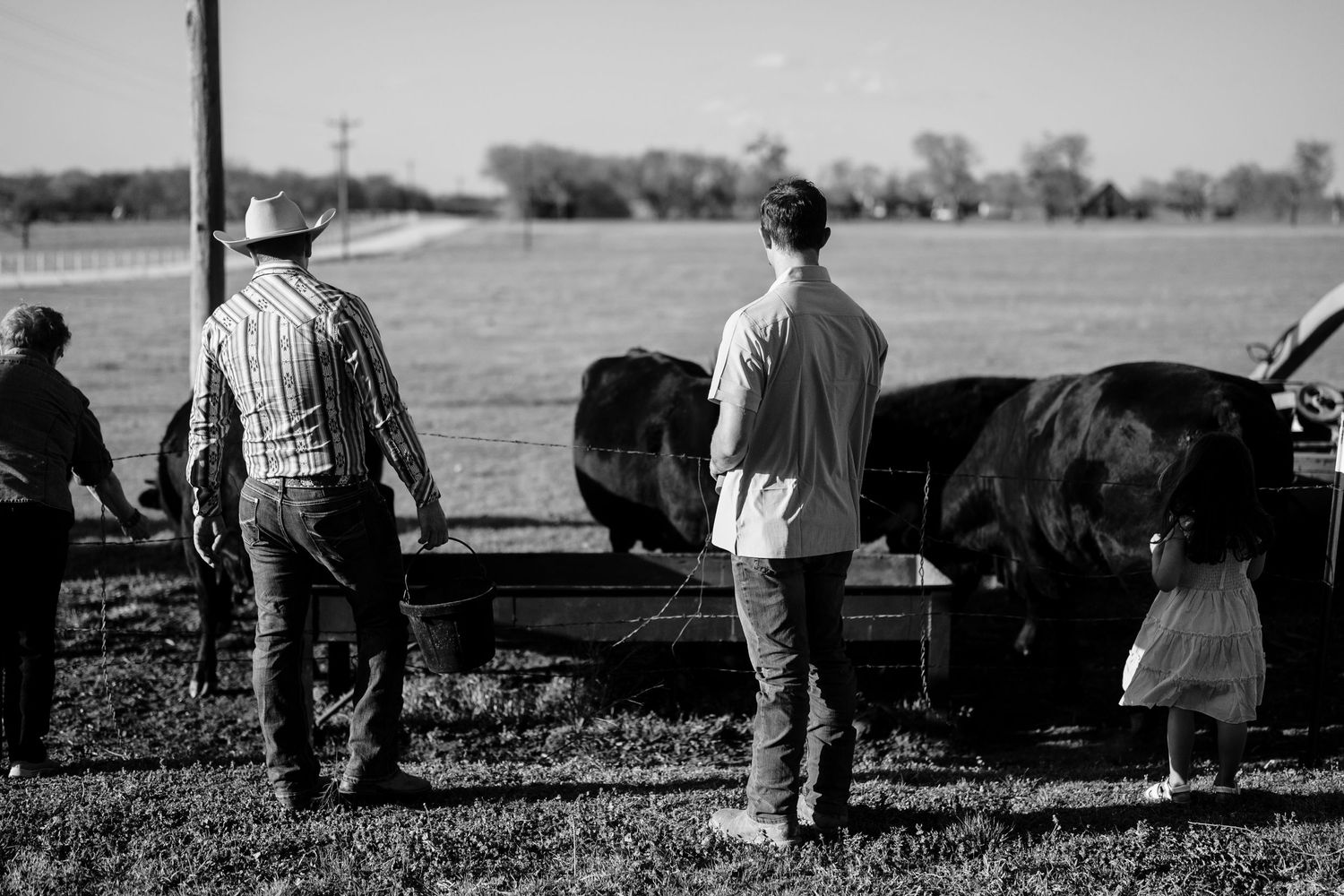Two farmers tend to cattle at a rural farm in black and white, evoking a vintage agricultural scene.