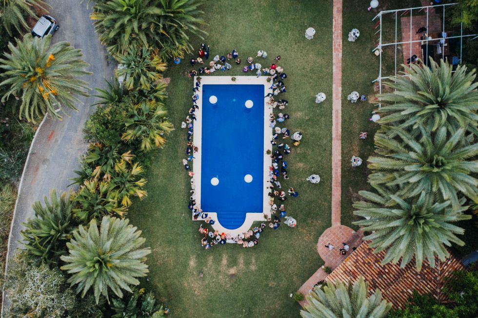 Aerial view of a blue rectangular swimming pool surrounded by palm trees and tropical landscaping in a resort setting.