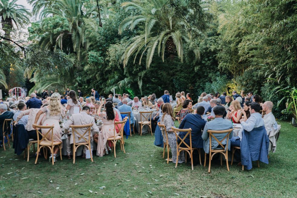 Wedding guests seated at round tables on a lawn surrounded by tropical palm trees during an outdoor reception.
