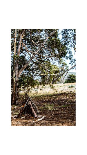 Travel Photography in California by Izya Lebtahi.