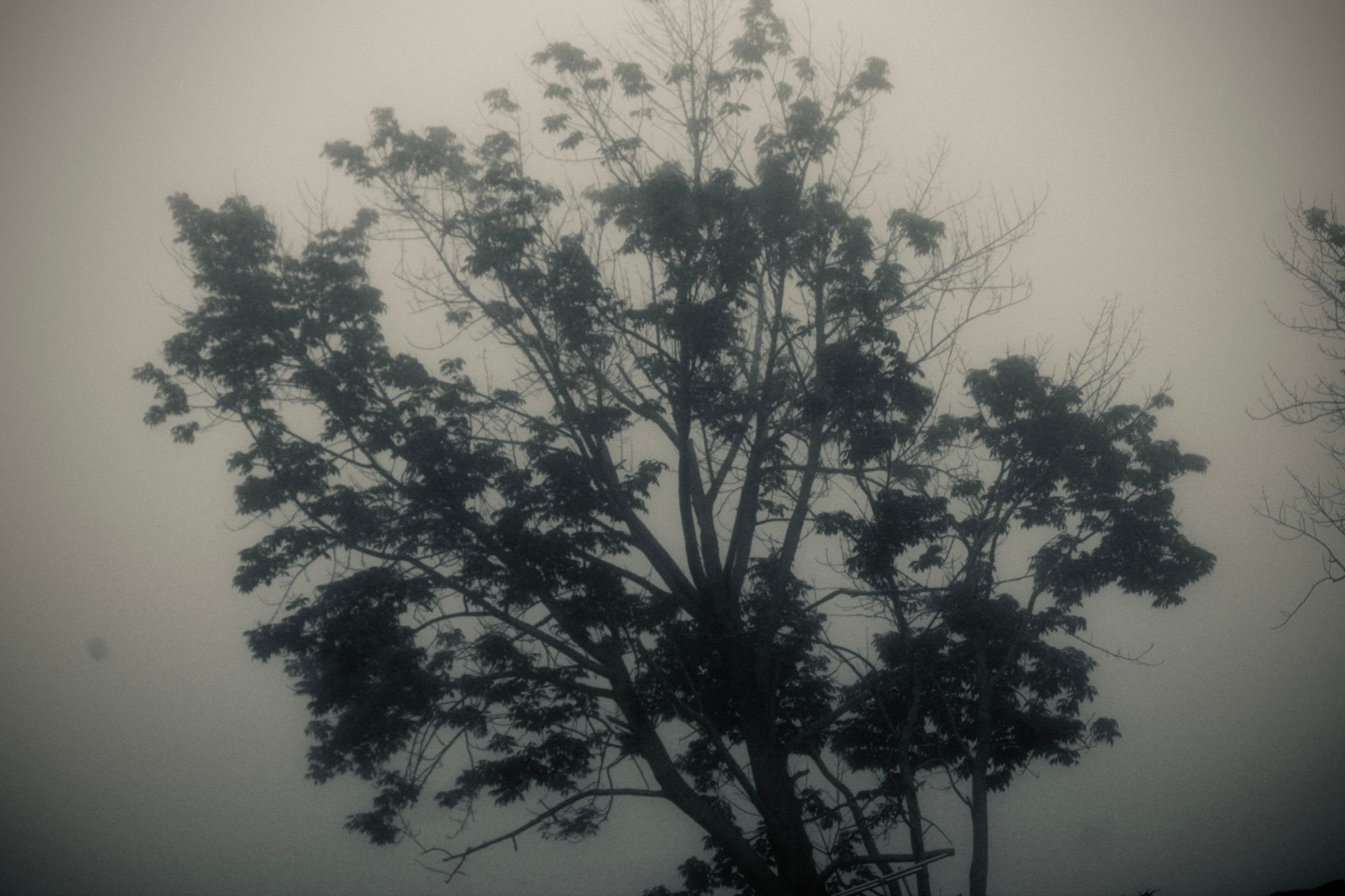 Travel photography by Izya Lebtahi. Analog Photography.