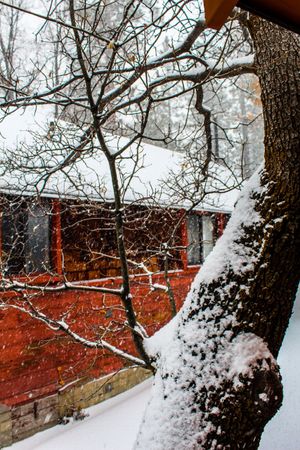 Travel Photography in Big Bear California by Izya Lebtahi.