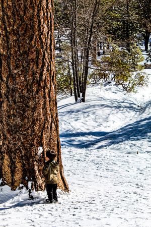Travel Photography in Big Bear California by Izya Lebtahi.