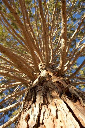 Travel Photography in California by Izya Lebtahi.