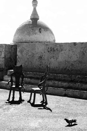 Travel/Small Business in Puerto Rico Photography by Izya Lebtahi.