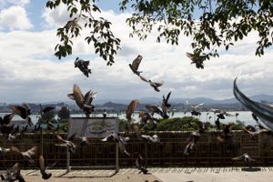 Travel/Small Business in Puerto Rico Photography by Izya Lebtahi.