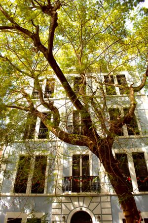 Travel/Small Business in Puerto Rico Photography by Izya Lebtahi.