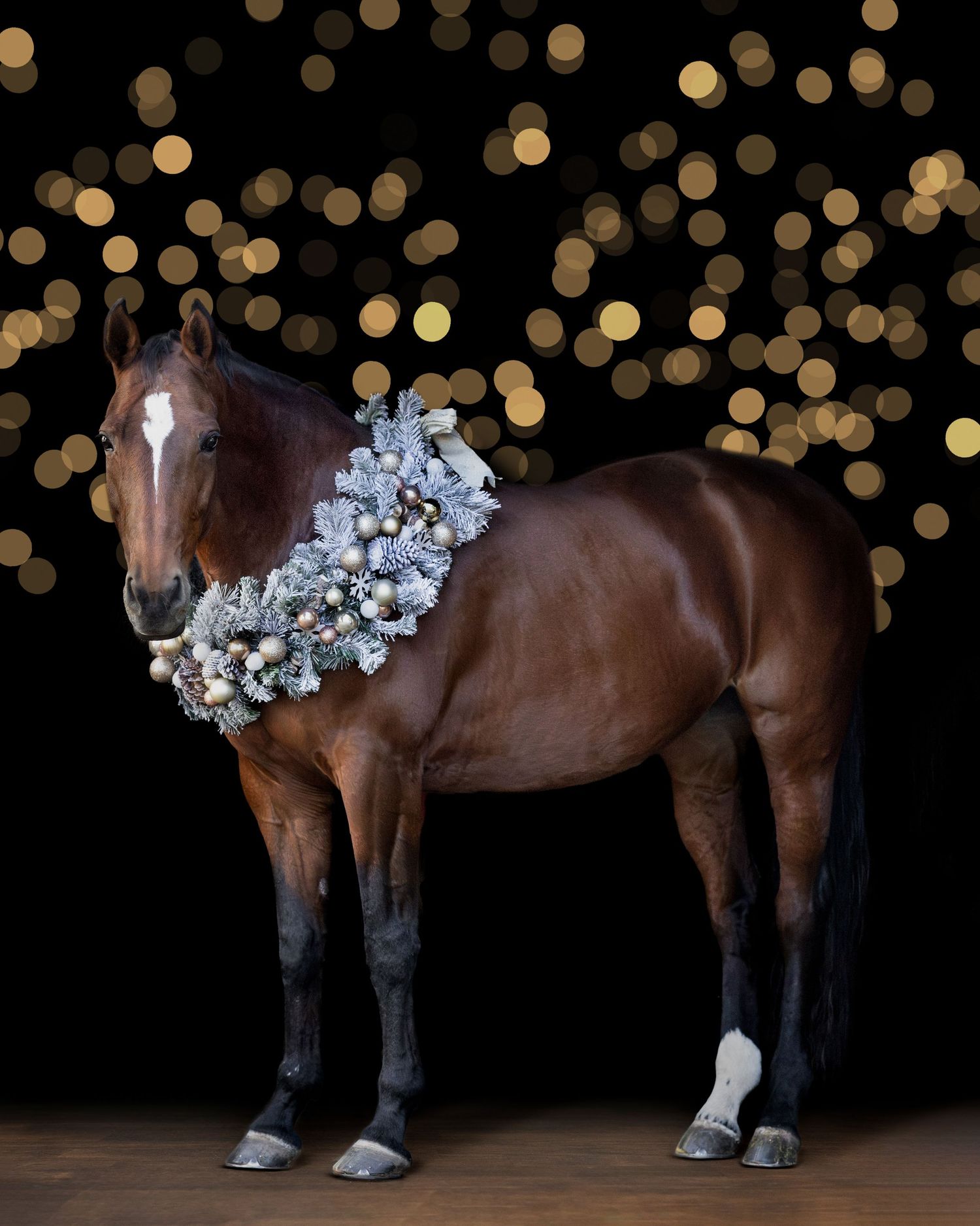 Holiday portrait of a bay mare with holiday wreath and Christmas or festive lights overlay Copyright Amanda Barr Photography