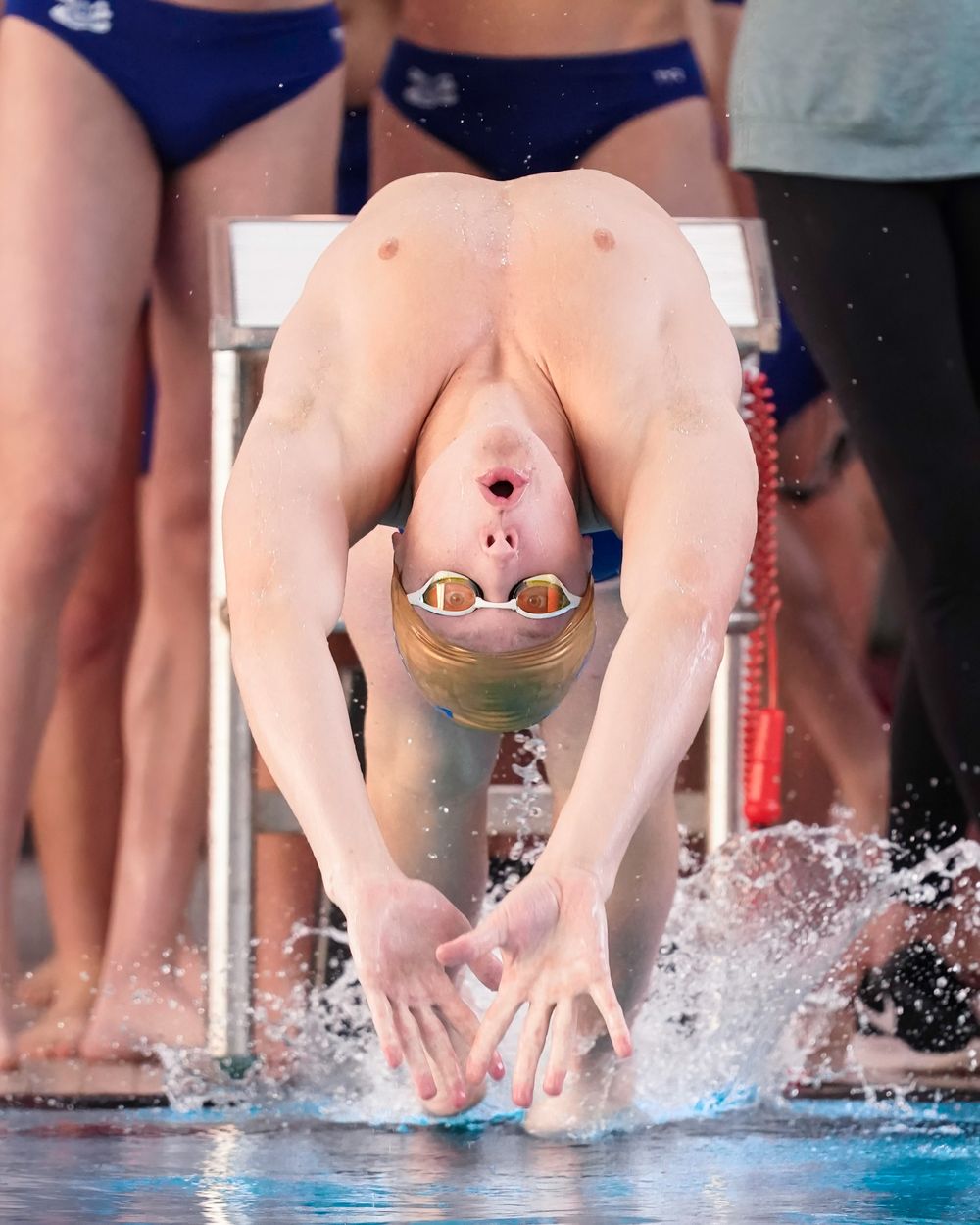 Competitive swimmer in racing suit dives into pool during competition.