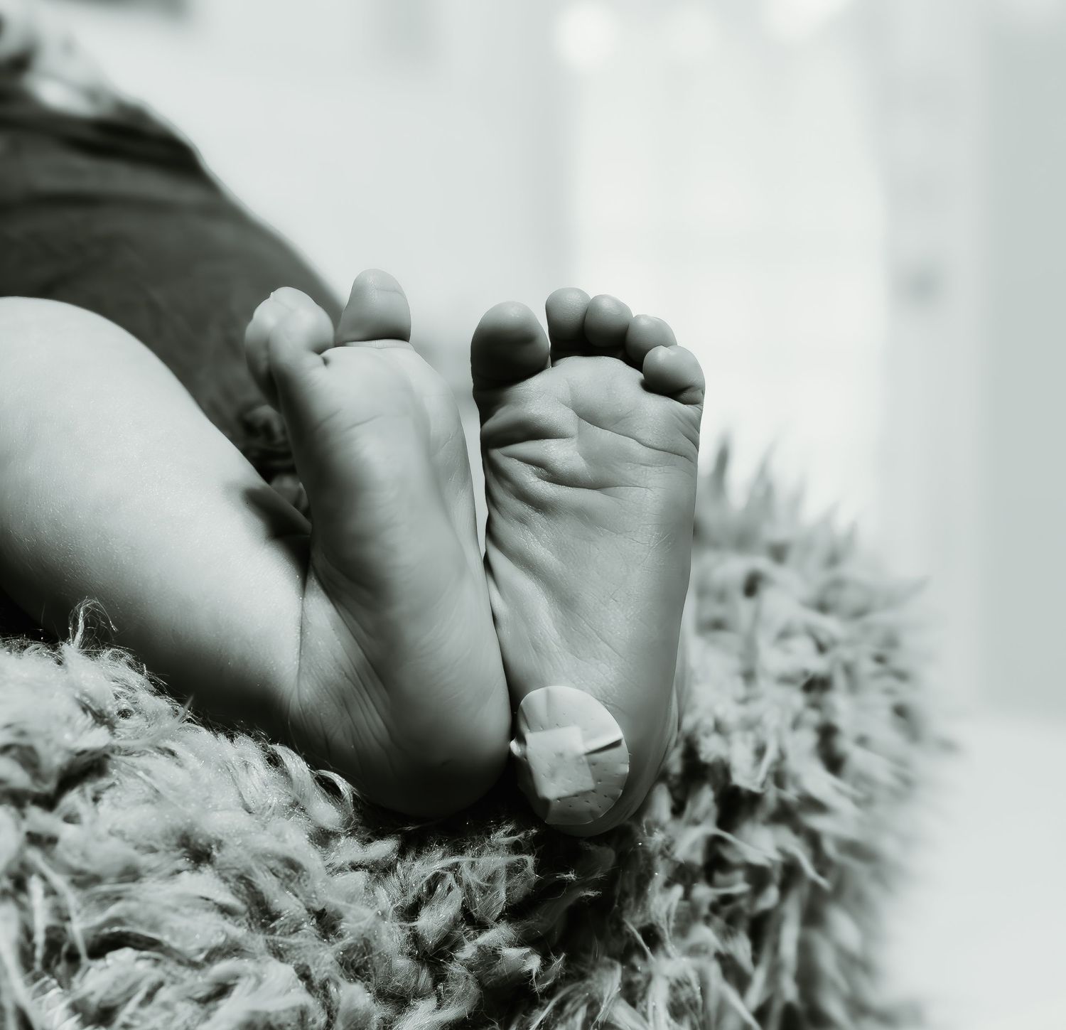 NICU photography of baby's heels with bandaid after having blood test at NICU.