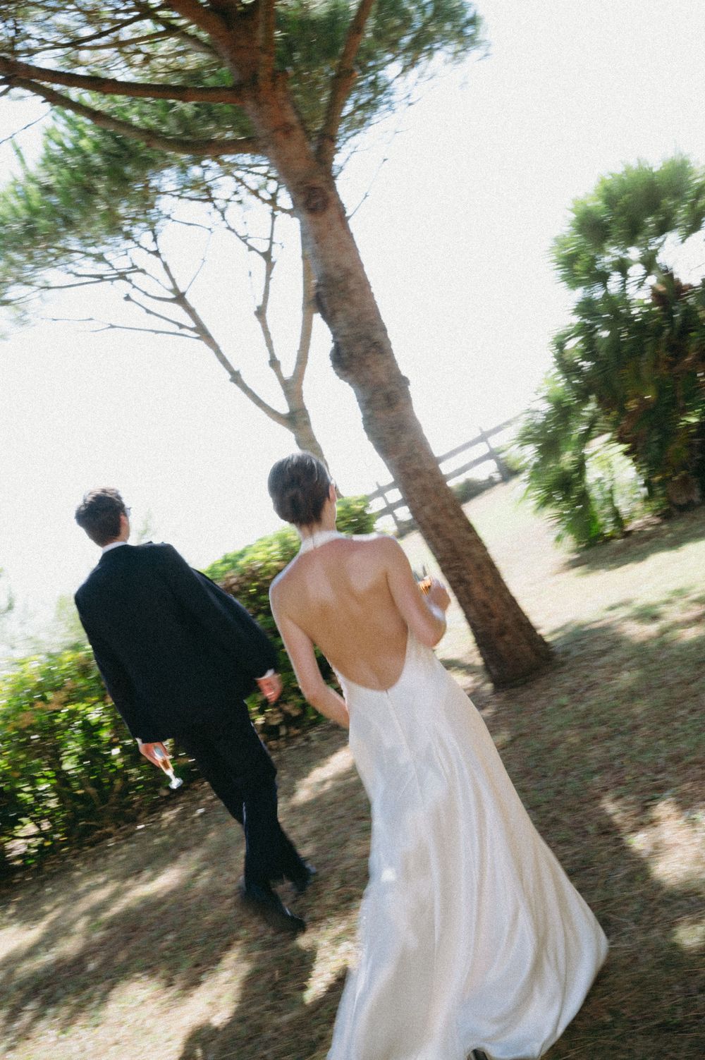 A couple walking together through a scenic pine grove path on a sunny day.