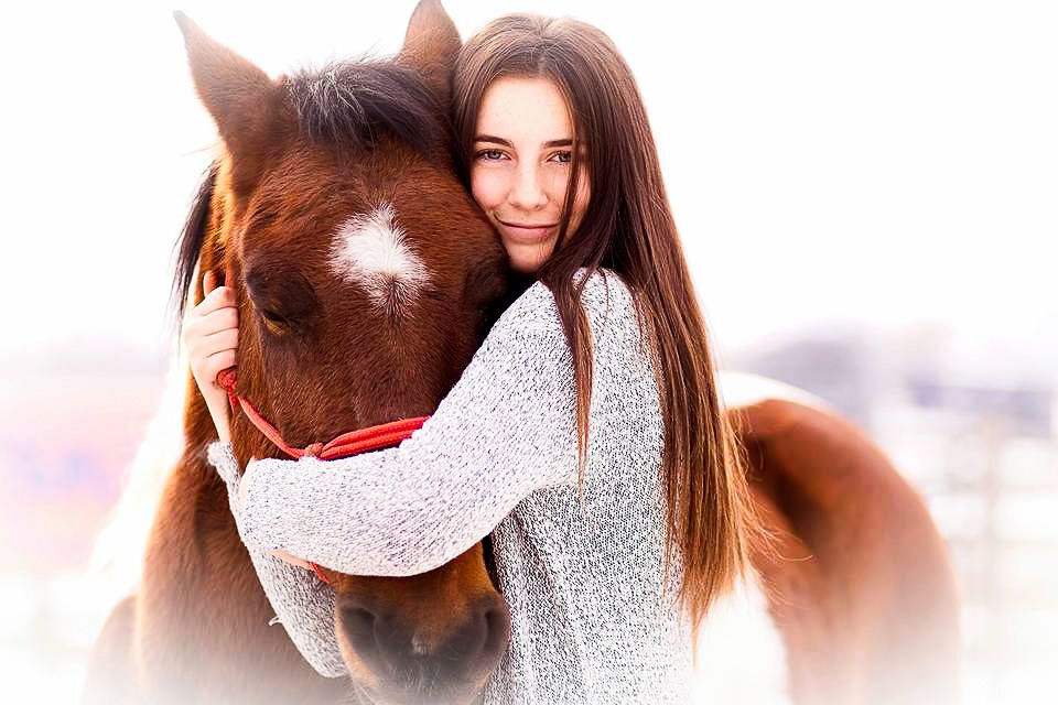Kamloops horse and rider photography
Kamloops Photographer