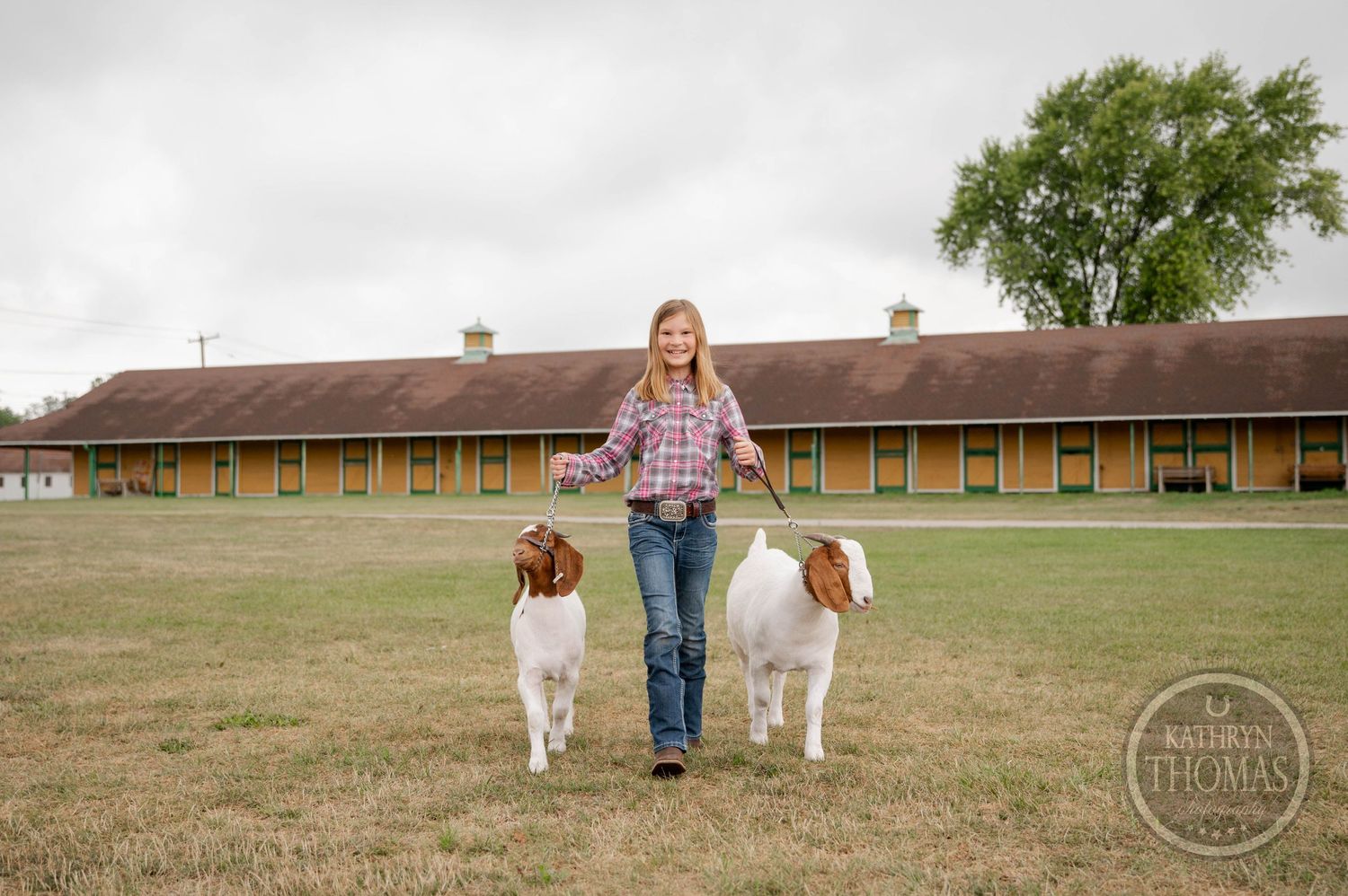 Two goats walk alongside handler on grassy field with brick buildings in background.