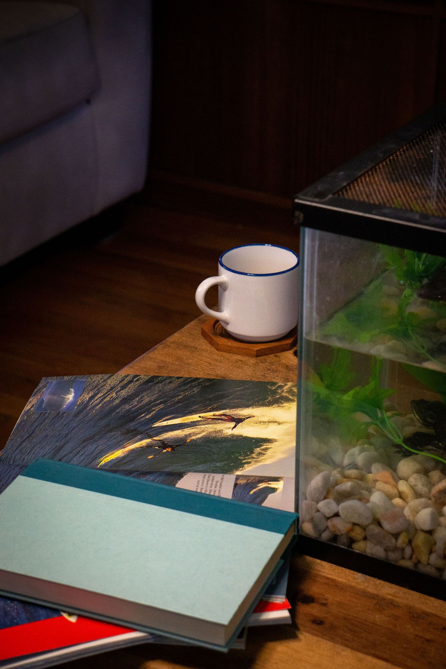 A mug sitting on a coffee table surrounded by books