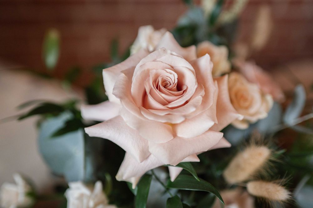 A delicate blush pink rose with dewdrops on its petals is shown in soft focus against a blurred background.